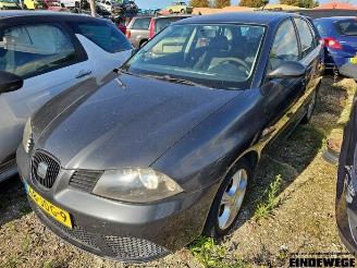 Démontage voiture Seat Ibiza Ibiza III (6L1), Hatchback, 2002 / 2009 1.4 TDI 80 2009/4
