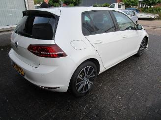 Schadeauto Volkswagen e-Golf  2015/6