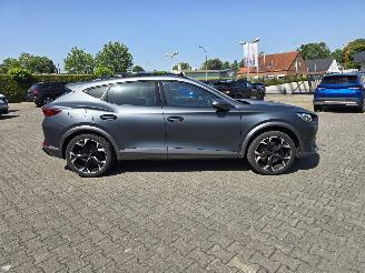 Cupra Formentor  picture 10