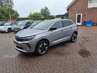 Voiture accidenté Opel Grandland 1.6 hybrid plug in     navi clima 2023/9