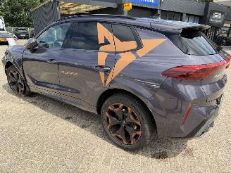 Cupra Terramar 1.5 eTSi 150 Pk automaat picture 12
