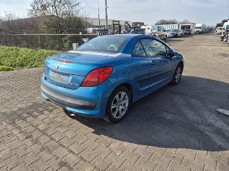 Sloopauto Peugeot 206 CC 2.0 16v 2004/8