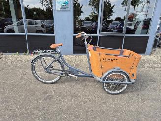 krockskadad bil fiets Overige  Baloe Curve 2020/2