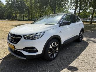 uszkodzony samochody osobowe Opel Grandland X 2018/1
