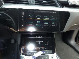 Audi E-tron 50 QUATTRO EDITION picture 10