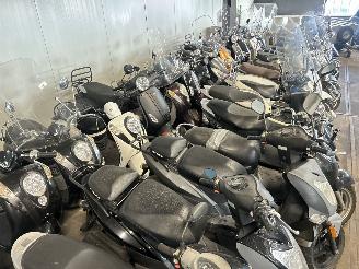 Overige  30+ scooters op voorraad picture 13