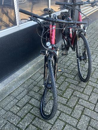 Trek  2x Verve 2 EQ Lowstep picture 4