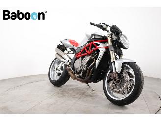   Brutale 910 picture 8