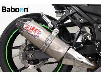 Kawasaki Ninja 250 R  picture 10