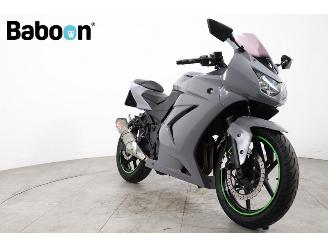 Kawasaki Ninja 250 R  picture 8