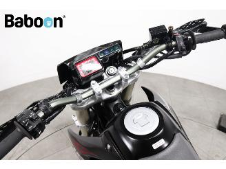 Honda FMX 650  picture 9