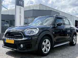Vaurioauto  passenger cars Mini Countryman 1.5 AUTOM Cooper  Edition AUTOMAAT 2019/5