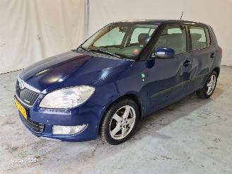 Vaurioauto  passenger cars Skoda Fabia 1.2 TDI Greenline 2011/10