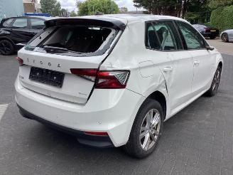 Skoda Fabia Fabia IV (PJ3), Hatchback 5-drs, 2021 1.0 TSI 12V picture 5