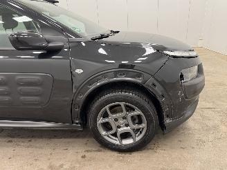 Citroën C4 cactus 1.2 PureTech Shine Navi Clima picture 19