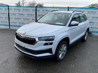 Vaurioauto  passenger cars Skoda Karoq 1.5 TSi (110 KW) Automaat + Dig. Cockpit + NAV 2025/9