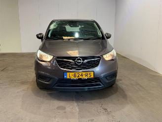 Opel Crossland X 1.2 120 Jaar Edition picture 8