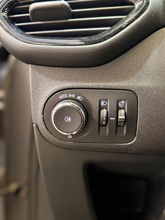Opel Crossland X 1.2 120 Jaar Edition picture 14