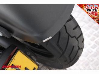 Harley-Davidson  FXDWG Dyna Wide Glide picture 9