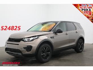 škoda osobní automobily Land Rover Discovery Sport 2.2 TD4 Aut. Unfall 4WD SE Cruise Navi Clima PDC 2015/5
