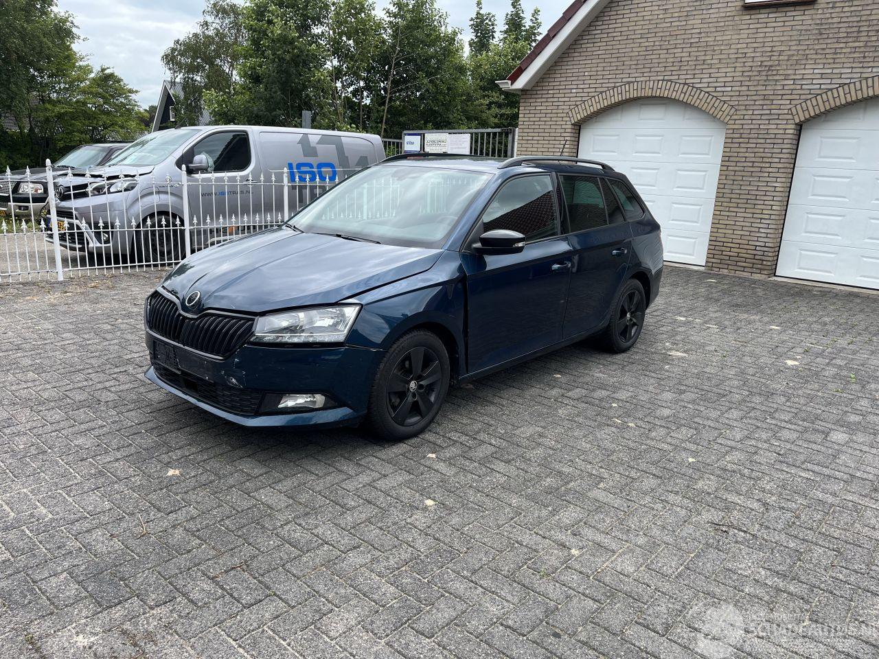 Skoda Fabia 1.0 tsi