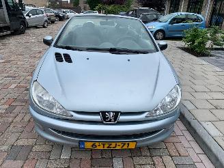 uszkodzony samochody osobowe Peugeot 206 1.6 16V CABRIO 2003/5