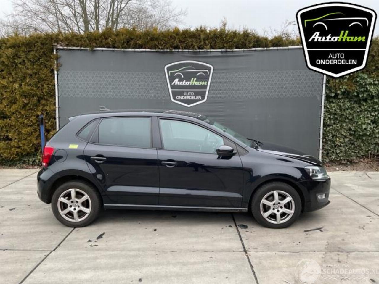Volkswagen Polo Polo V (6R), Hatchback, 2009 / 2017 1.2 TSI