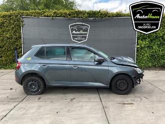 Vrakbiler auto Skoda Fabia Fabia III (NJ3), Hatchback 5-drs, 2014 / 2021 1.0 TSI 12V 2021/2