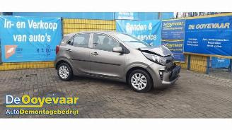 Coche siniestrado Kia Picanto Picanto (JA), Hatchback, 2017 1.0 12V 2018/12