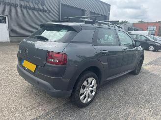 Citroën C4 cactus Cactus 1.2|AUTOMAAT  e-VTi Business picture 5