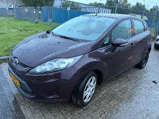 Unfallwagen Ford Fiesta 1.25 Limited 2010/11