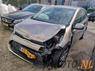  Kia Picanto Picanto (JA), Hatchback, 2017 1.0 12V 2018/12