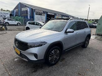 Voiture accidenté Mercedes EQB 250+ 71kWh 140KW Pano Sfeerverlichting Clima Navi 7-Pers Business Line NAP 2024/11