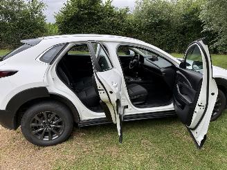 Mazda CX-30 2.5 Hybrid picture 21