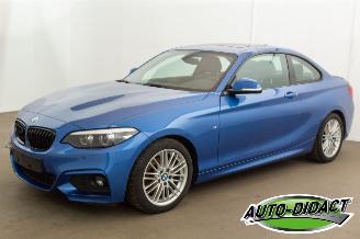 Voiture accidenté BMW 2-serie 218d Automaat Leder Navi Schuifdak 2019/7