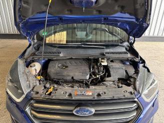 Ford Kuga ST-Line Navigation / R-Kamera / AHK picture 15