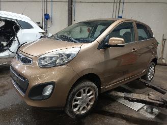 Démontage voiture Kia Picanto Picanto (TA) Hatchback 1.0 12V (G3LA) [51kW]  (05-2011/06-2017) 2011/12