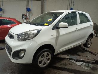demontáž osobní automobily Kia Picanto Picanto (TA) Hatchback 1.0 12V (G3LA) [51kW]  (05-2011/06-2017) 2013/5