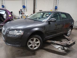 disassembly passenger cars Audi A3 A3 Sportback (8PA) Hatchback 5-drs 1.4 TFSI 16V (CAXC) [92kW]  (09-200=
7/03-2013) 2009/9