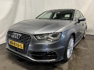 Vaurioauto  passenger cars Audi A3 A3 Sportback (8VA/8VF) Hatchback 5-drs 1.4 TFSI 16V e-tron (CUKB(Euro =
6)) [150kW]  (05-2014/10-2020) 2015/11