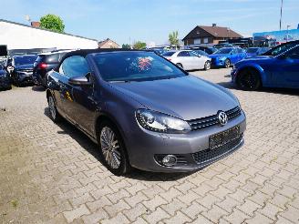 Volkswagen Golf CABRIO CUP BMT XENON picture 2