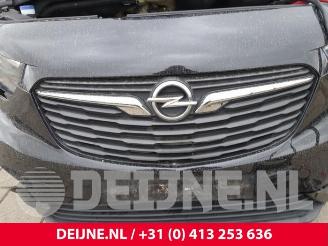 Opel Combo Combo Cargo, Van, 2018 1.5 CDTI 75 picture 34