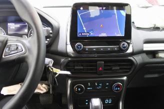 Ford EcoSport  picture 12