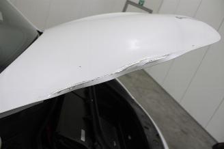 Tesla Model Y  picture 24