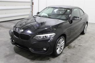 Avarii autoturisme BMW 2-serie 218 2020/1