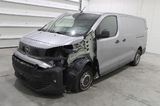 Avarii autoturisme Opel Vivaro  2024/9