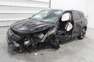  Opel Grandland X 2021/6