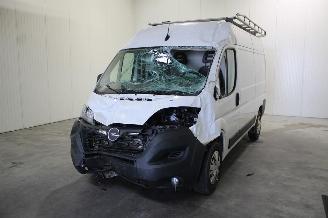 Sloopauto Opel Movano  2024/2