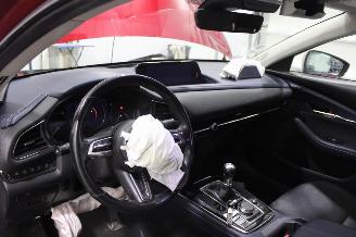 Mazda CX-30  picture 9