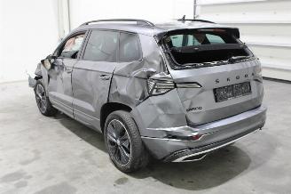 Skoda Karoq  picture 4